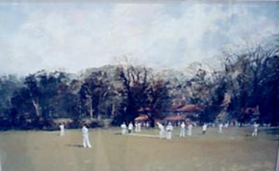 Afternoon Cricket