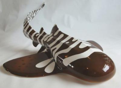 Zebra Shark