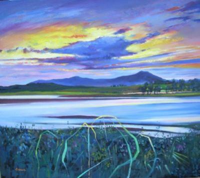 Evening Sky from Skibo
