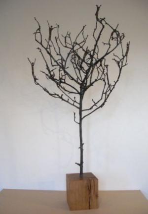 Tree of Life