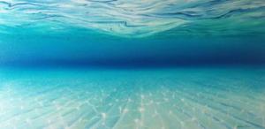 Sunlit Lagoon