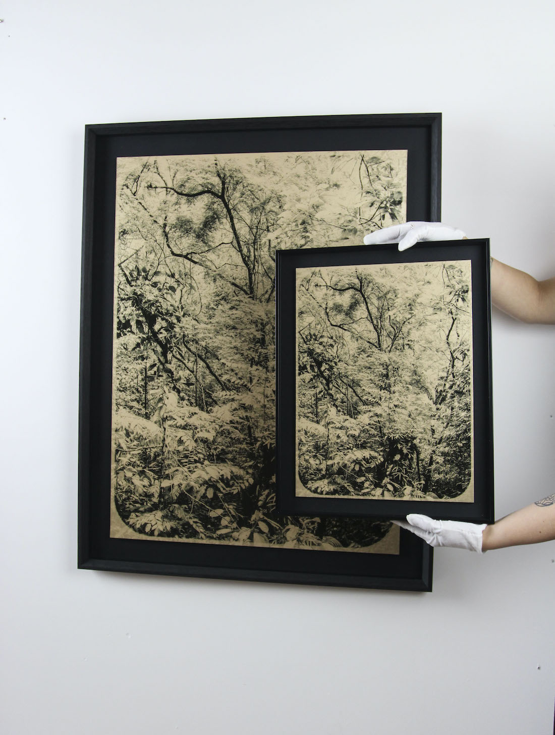 Jacob Talbot_The Canopy (XXL) ed.8 Jacob Talbot_3 copy