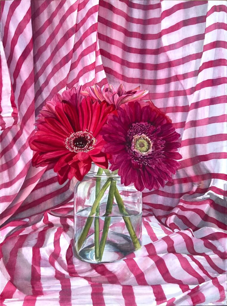 Pink Gerberas in Candy Stripes